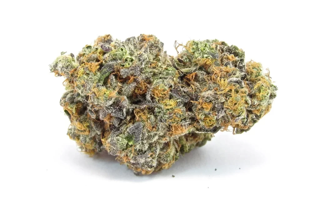 Buy Marijuana online in Lille: Buy Cannabis in cities around Lille like Lambersart, Marcq-en-Baroeul, Saint-andre-lez-lille.