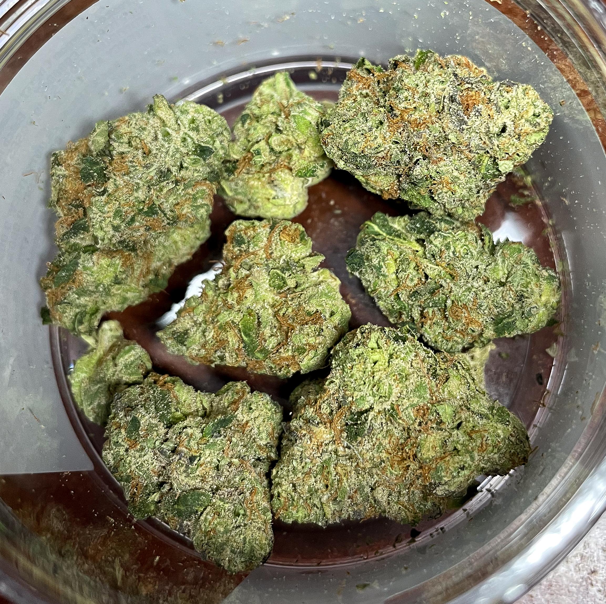 Buy Marijuana online in Bordeaux - Order Cannabis online in cities around Bordeaux like Talence, Floirac, Cenon, Merignac, Le Bouscat, Pessac, Lormont