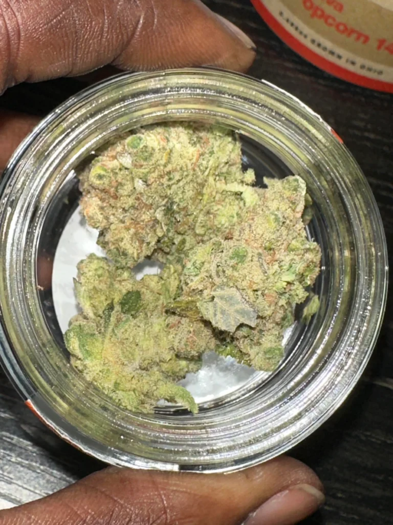 How to Find Reputable Sellers of Black Domina Online in France: Where to buy top quality Cannabis strains online in France.