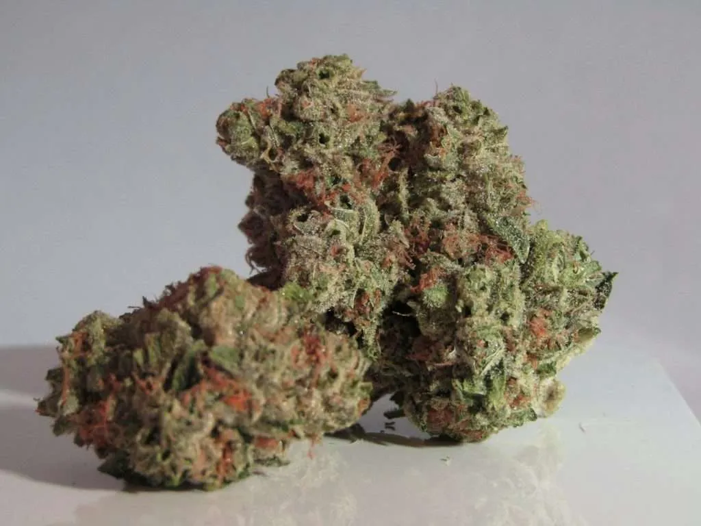 Where to Find the Best Deals on Black Domina in France: Popularity of Black Domina in France, Buy Cannabis online in cities around France.