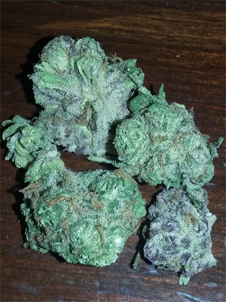 Where to Get Delicious Blueberry Cheesecake on Your Belgian Trip: Buy Cannabis online in France, Where to find Cannabis online in Belgium.