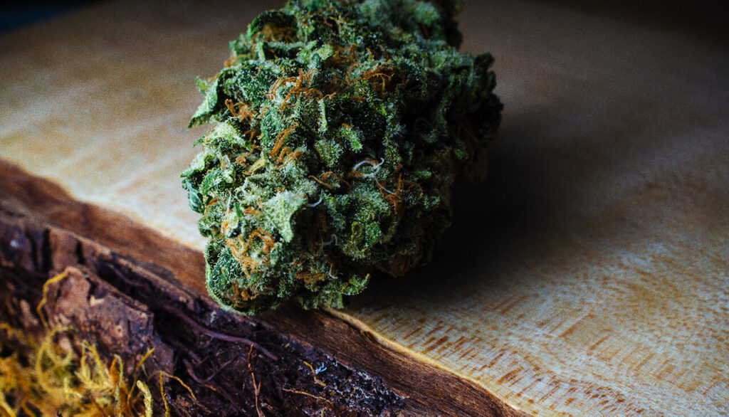 Best Websites to Order Chocolope Strain in France: Buy marijuana online in cities around France like Paris, Lyon, Toulouse, Nice, Lille.