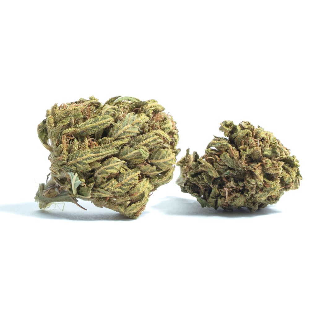 Best Stores for Jamaican Dream : Where to purchase quality Jamaican Dream online in cities around France, Quality Jamaican Dream shops.