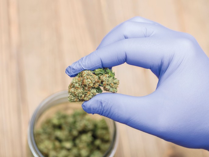 Get Premium Cannabis at Your Doorstep: Best Marijuana Deals in France, Quality Weed strains at your doorstep in cities around France.