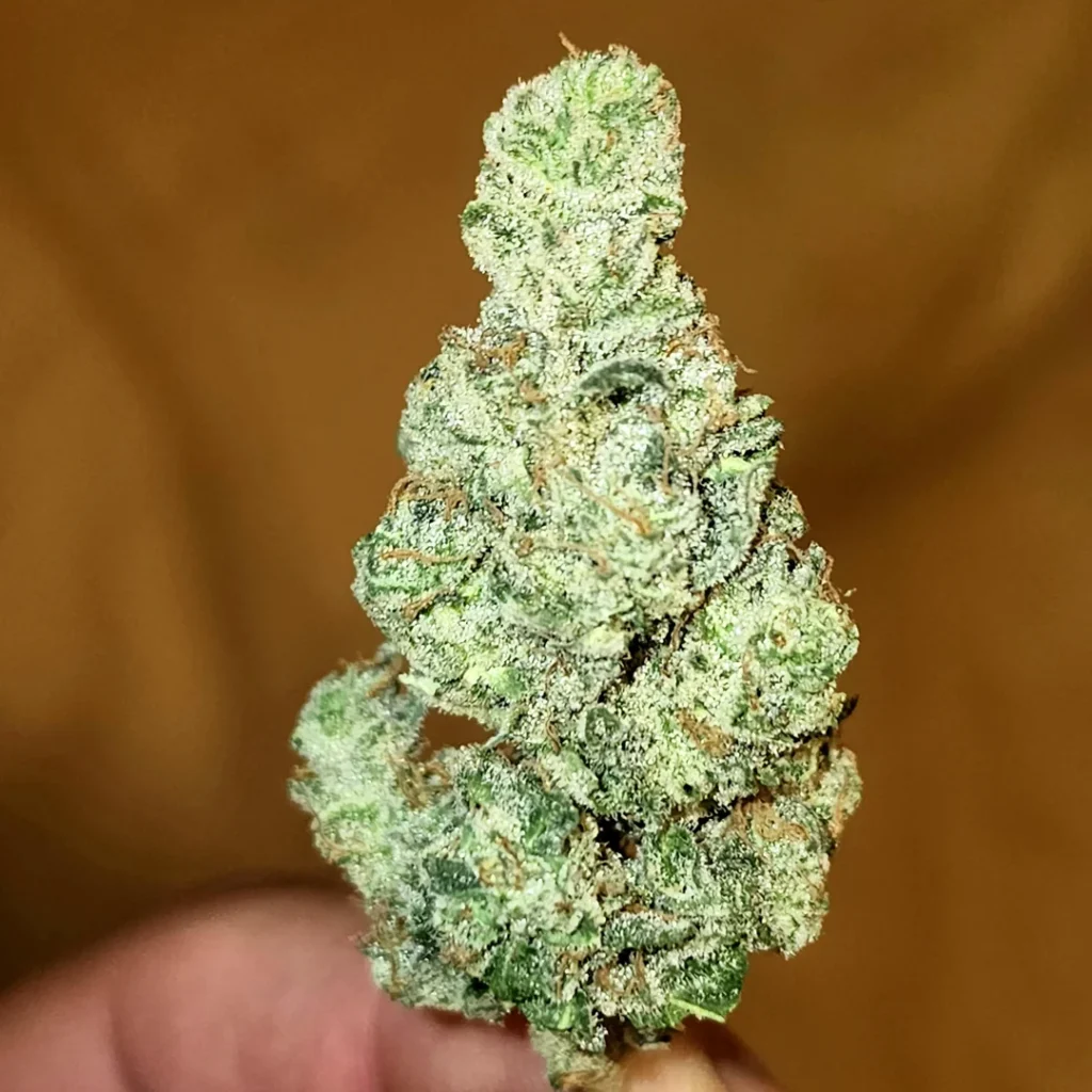 Fast and Discreet Cannabis Delivery In Europe: Buy marijuana online in European Countries like France, Belgium, Romania, Poland and Germany.
