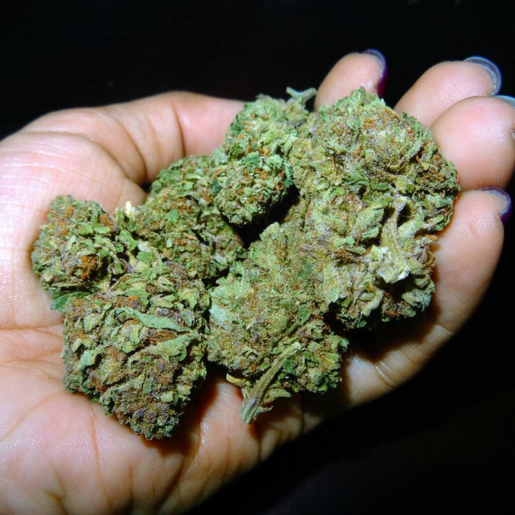 Buy Cannabis online france